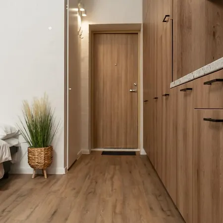 Air 117 Apartment Vilnius