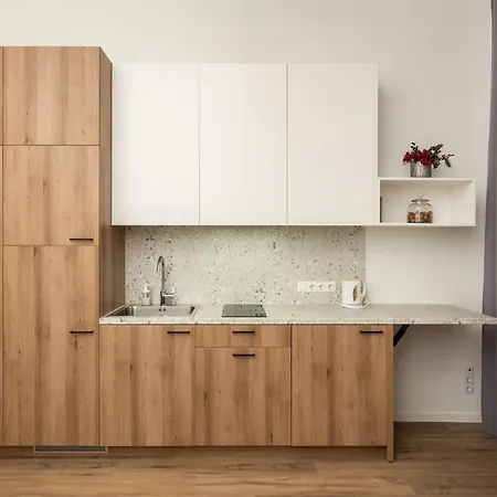Apartment Air 117 *